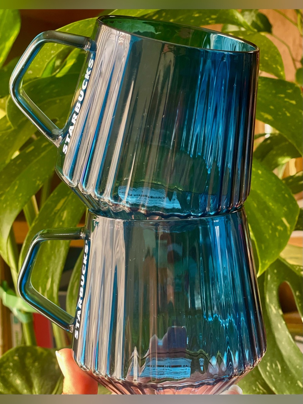 Starbucks Translucent Blue Ribbed Glass Mug set